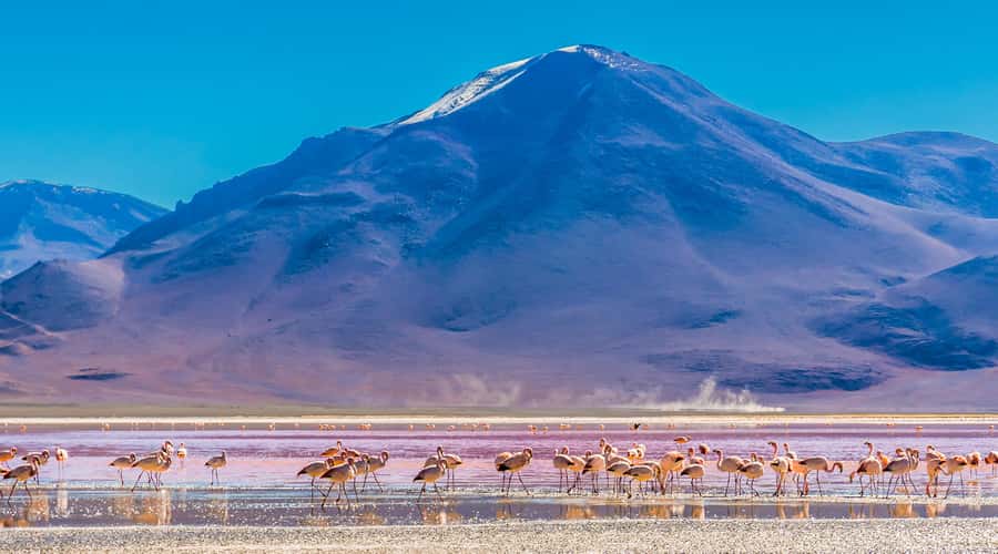 Uyuni: 3-Day Salt Flats Tour ending in San Pedro de Atacama - Who should book this Uyuni trip?