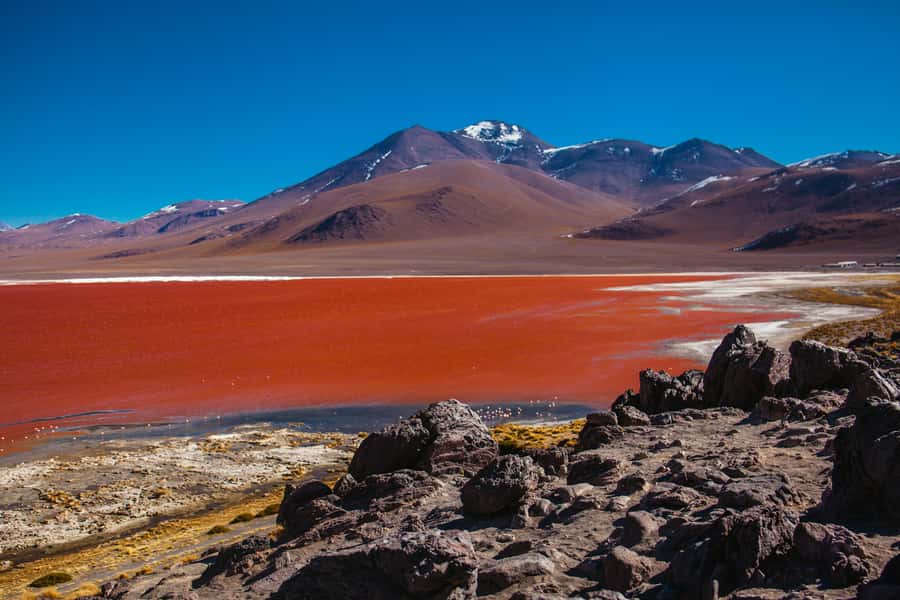 Uyuni: 3-Day Salt Flats Tour ending in San Pedro de Atacama - FAQ