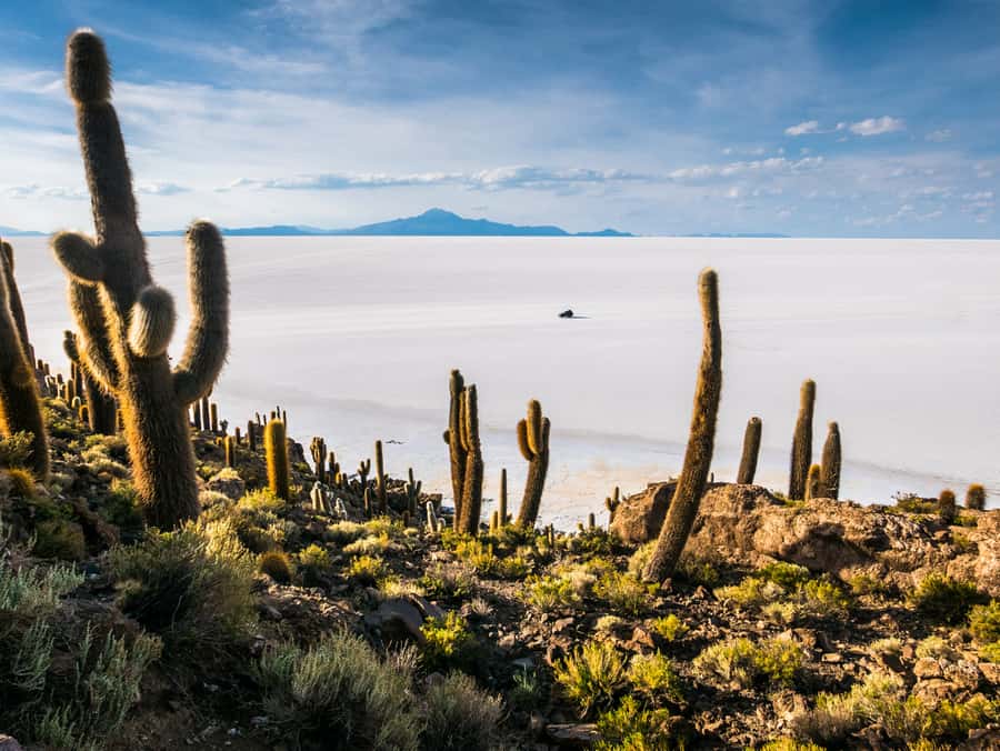 Uyuni: 3 day-tour, salt flats & surrealistic deserts - Key points to know before you book
