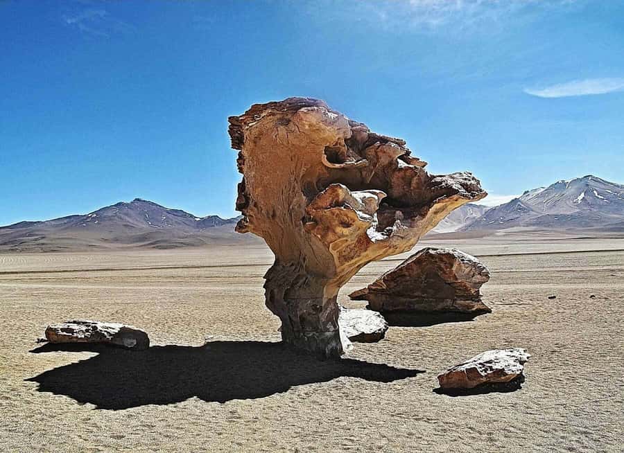 Uyuni: 3 day-tour, salt flats & surrealistic deserts - Red Lagoon, Green Lagoon, and the high desert