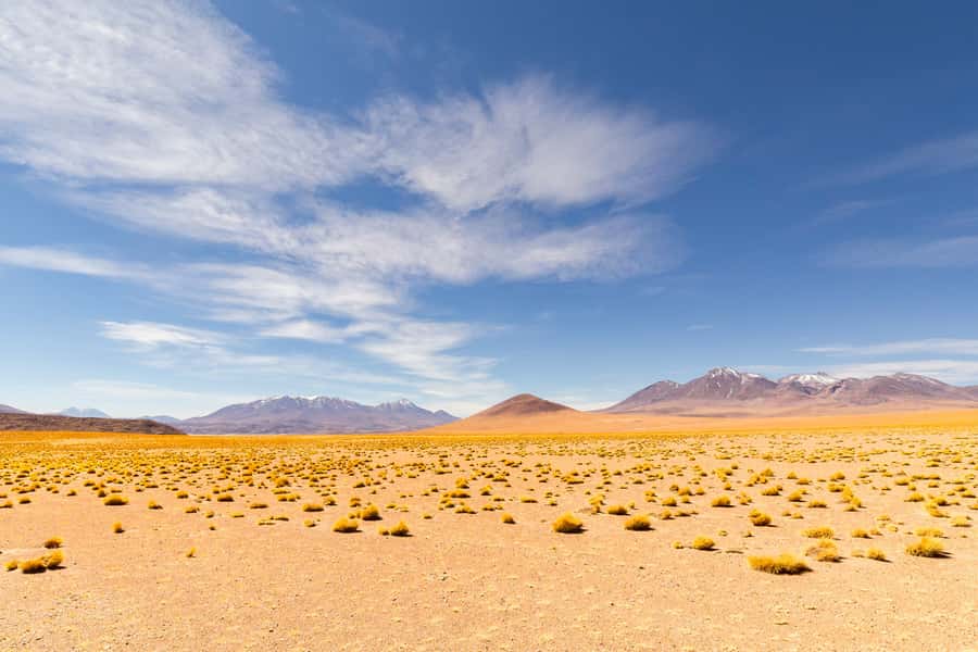 Uyuni: 3 day-tour, salt flats & surrealistic deserts - Meals, water, and daily comfort