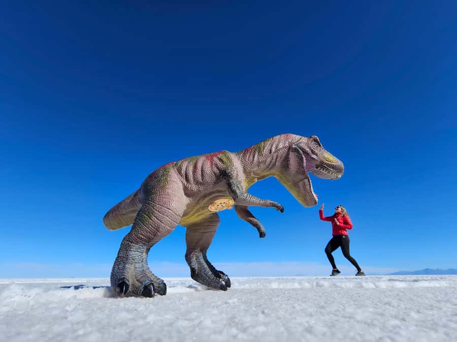 Uyuni: Isla Incahuasi & Uyuni Salt Flats Full-Day Jeep Tour - Salt monuments, flags, and the first white horizon