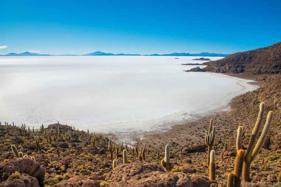 Uyuni: Salar de Uyuni and San Pedro de Atacama 3-Day Tour - Meeting point problems deserve attention