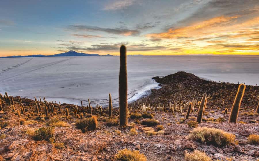 Uyuni: Salar de Uyuni Traditional Tour+Sunset Tour - A full day from Uyuni, starting at 10:30