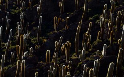 Salar de Uyuni Traditional Tour+Sunset Tour