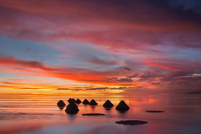 Uyuni Salt 1 day Tour with guide in English + Lunch and Sunset - Incahuasi Island and its giant cacti