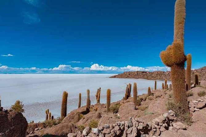 Uyuni Salt 1 day Tour with guide in English + Lunch and Sunset - Sunset, shallow water, and a bottle of Bolivian wine