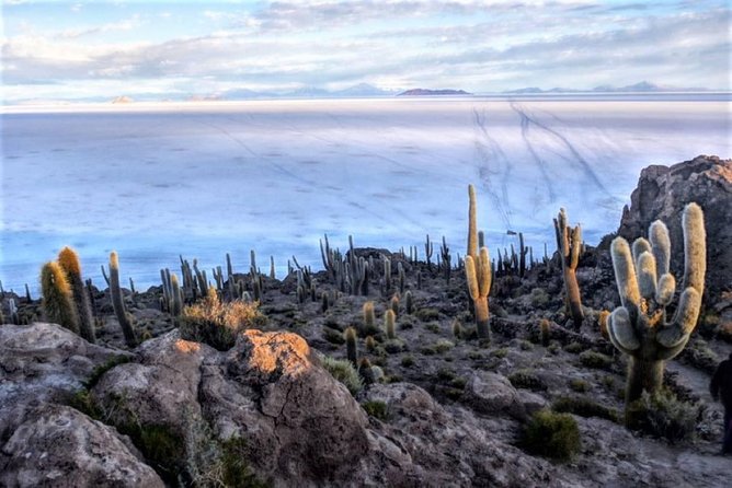 Uyuni Salt Flats (3 Days) English Speaking Guide - Why this three-day route is worth considering