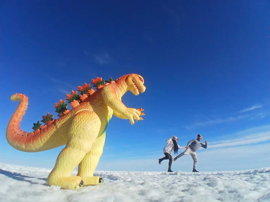 Uyuni tour express from Sucre by bus (round trip) - Breakfast and the first look at Uyuni