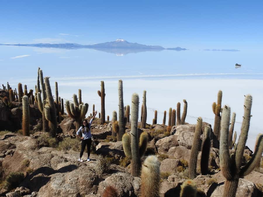 Uyuni: Uyuni Salt Flats and San Pedro de Atacama 3-Day Tour - The 4WD, group size, and daily comfort